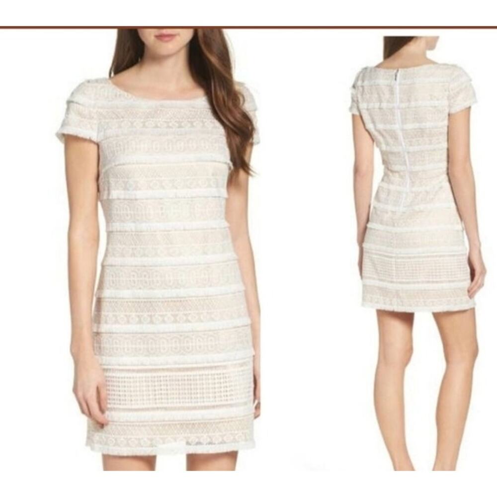 Eliza J. Geo Short Sleeve Lace Mini Sheath Dress Cream Womens US 8 Office Formal